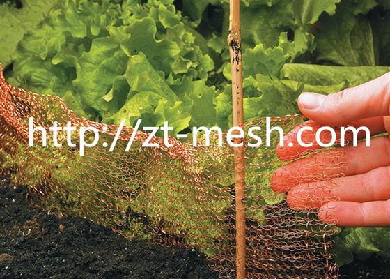 Disesuaikan Sus 316 Tembaga Woven Wire Mesh untuk kebutuhan penyaringan